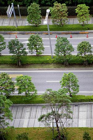 ボディカバー車はいたずら防止にも効果的