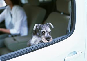 岐阜で選ぶ最適なグラスコーティング：効果・料金・評判を徹底比較2025